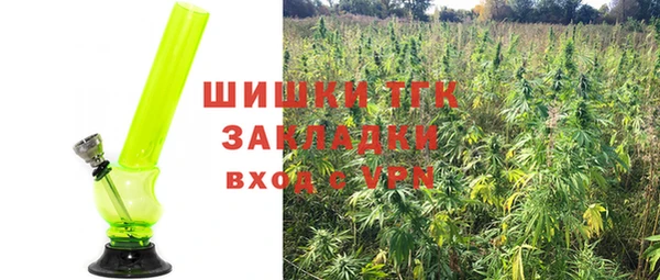 дмт Алексеевка
