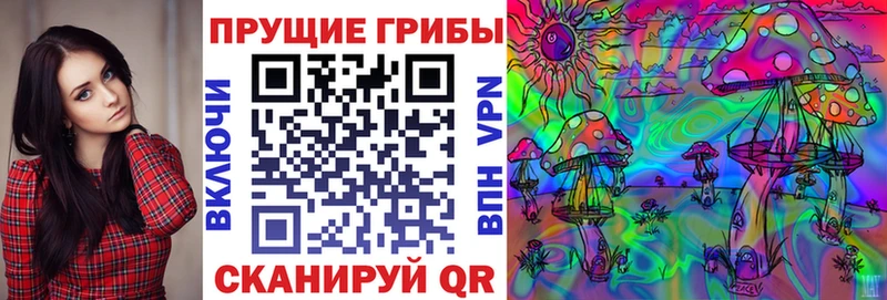 дарк нет состав Кизел Псилоцибиновые грибы Magic Shrooms МЕГА ONION